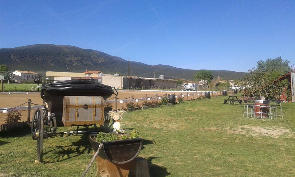 Resultados de la primera fase del Campeonato Navarro de Doma Vaquera 2017